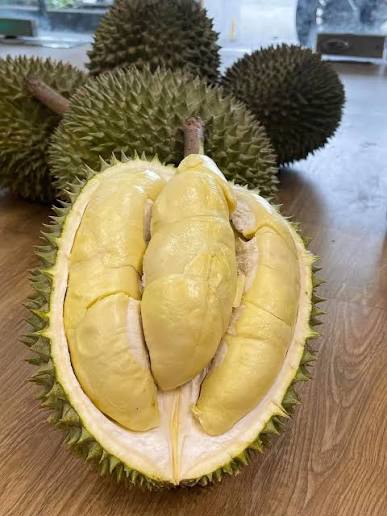 Sầu riêng Chuồng Bò